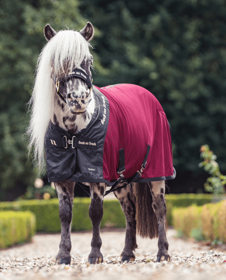 Back on Track - "Royal Netdækken Deluxe" - Pony - Bordeaux - animondo.dk - 21649080