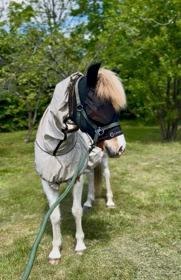 Cavalli Eksemdækken - Nordic Sand - animondo.dk - Cav3600
