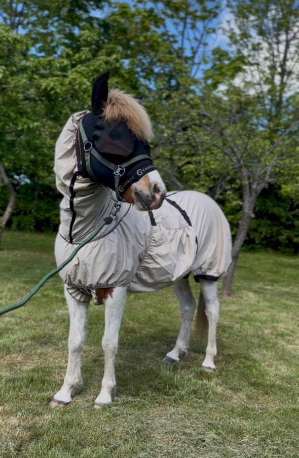Cavalli Eksemdækken - Nordic Sand - animondo.dk - Cav3600
