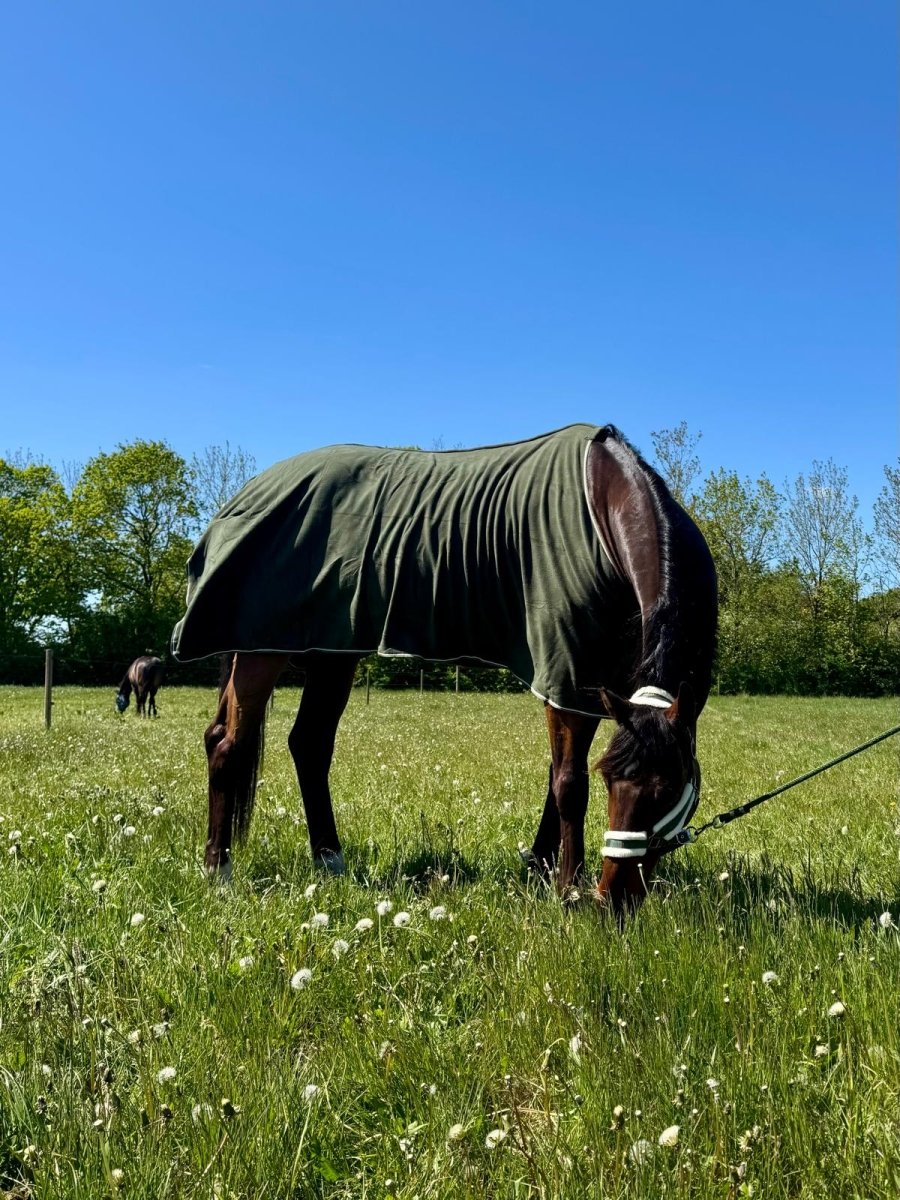 Cavalli - Fleecedækken - Moss Green - animondo.dk - CAV4100