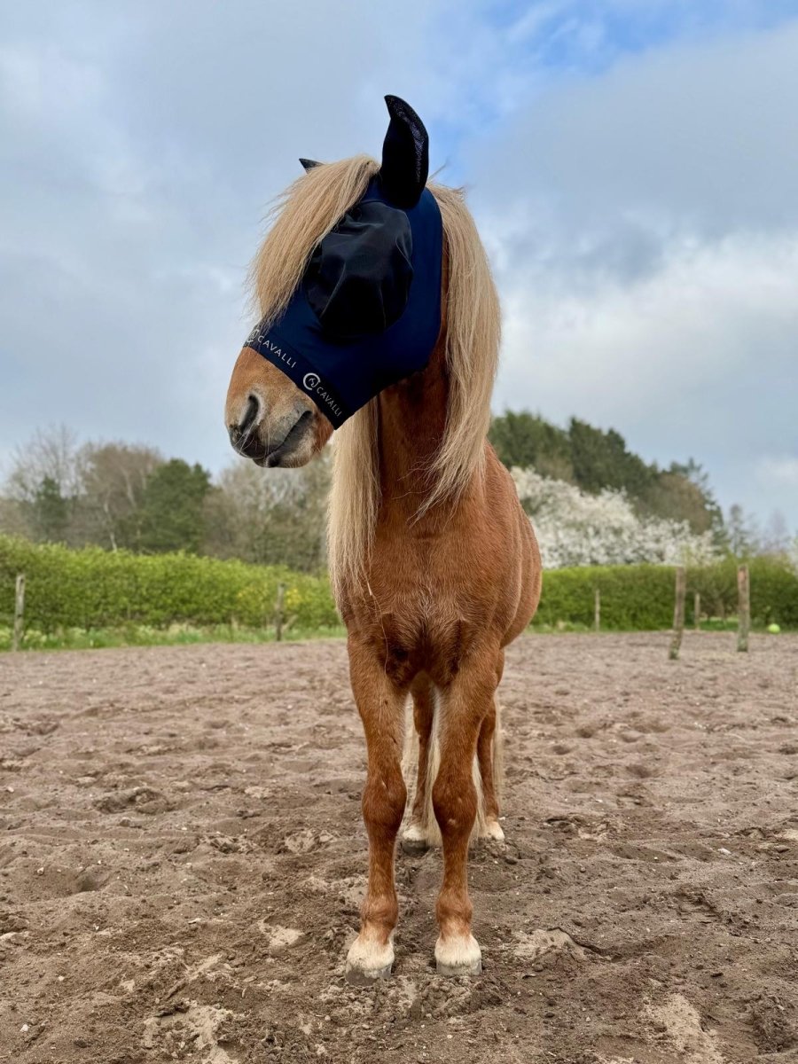 Cavalli Fluemaske m. ører - Navy 2025 - animondo.dk - Cav3300