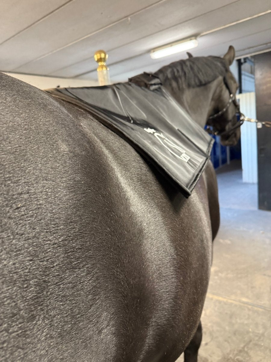 Equine LTS - Topline - NYHED 2025 - animondo.dk - LTS - Topline - 2025