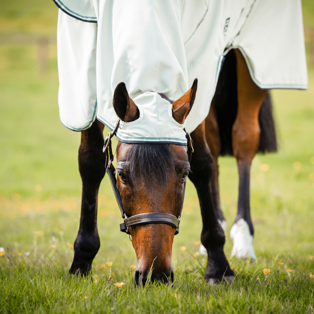 Horseware - Rambo Hoody Eksemdækken m. aftagelig hals - animondo.dk - AFAP70 - GFMG - 66