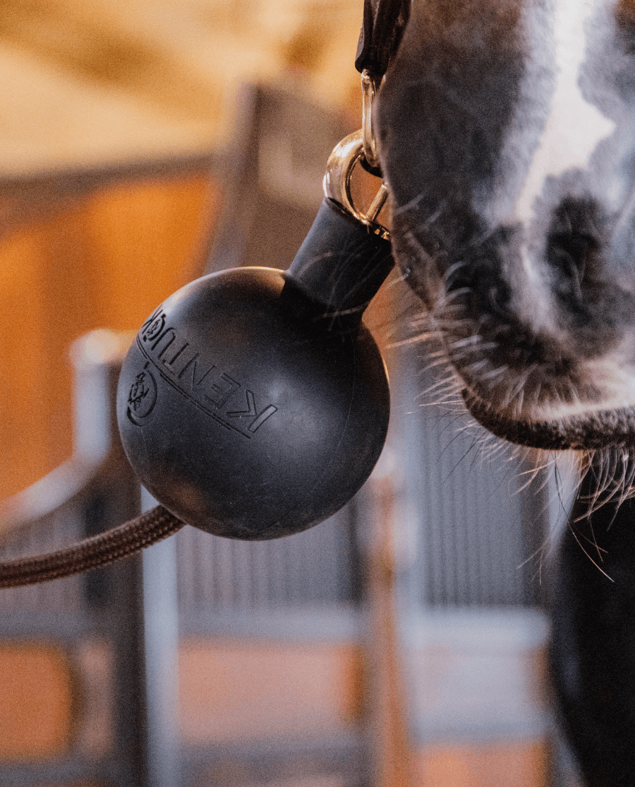 Kentucky Horsewear - Gummibold til opbindingskæder - Sort - animondo.dk - 82154 - 01 - S