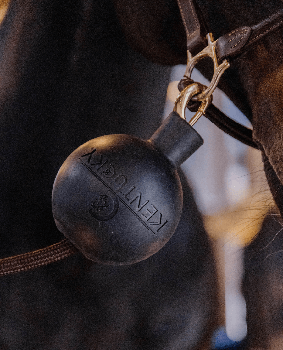 Kentucky Horsewear - Gummibold til opbindingskæder - Sort - animondo.dk - 82154 - 01 - S
