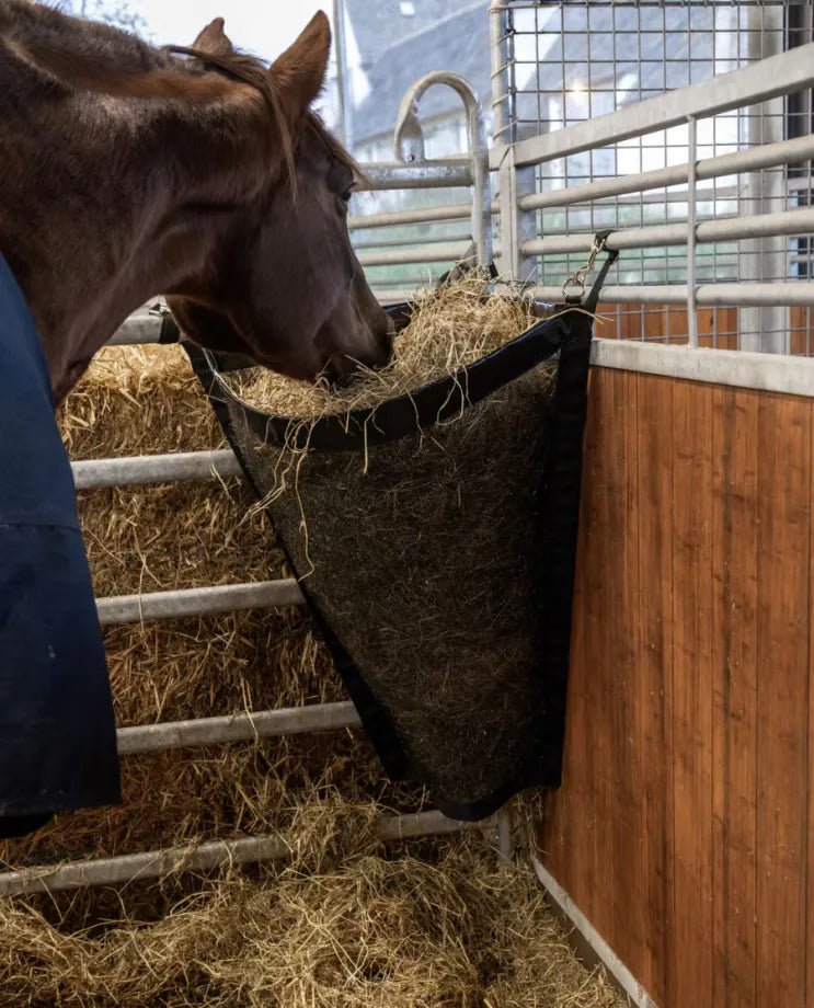 Kentucky Horsewear - Hønet til hjørne - Sort - animondo.dk - 82192 - 01 - M