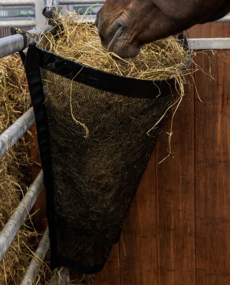 Kentucky Horsewear - Hønet til hjørne - Sort - animondo.dk - 82192 - 01 - M