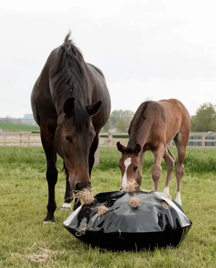 Kentucky Horsewear - Høpose m. slowfeeder - XLarge - animondo.dk - 82227 - 01 - XL
