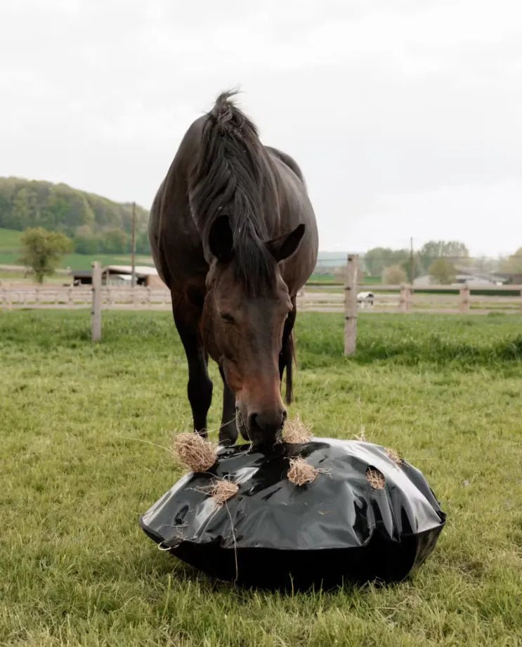 Kentucky Horsewear - Høpose m. slowfeeder - XLarge - animondo.dk - 82227 - 01 - XL
