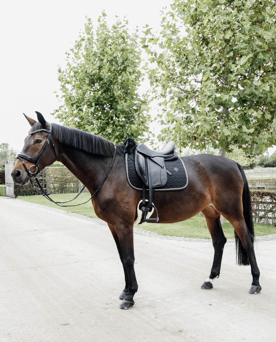 Kentucky - Skin Friendly Dressurunderlag - Sort - animondo.dk - 42468 - 01 - DR