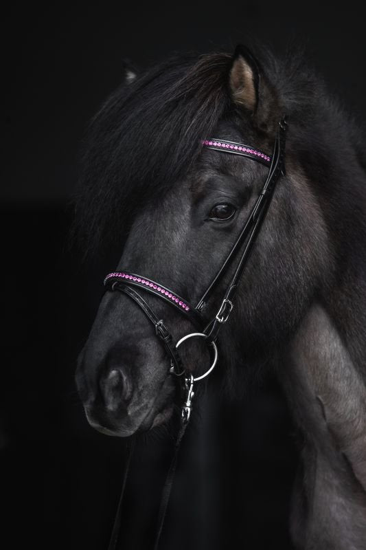 Top Reiter - "DEMANTUR" Engelsk Næsebånd - Sort/Pink - animondo.dk - NR - DM - EK - PI