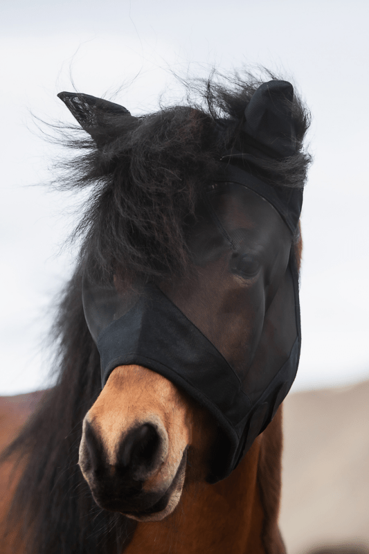 Top Reiter - Fluemaske m. ører - Sort - animondo.dk - DE - EKZ - HP - S