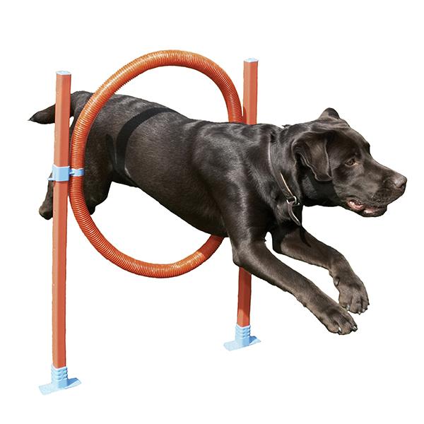 Trixie - Agility Ring - Ø51 cm - animondo.dk - 02492
