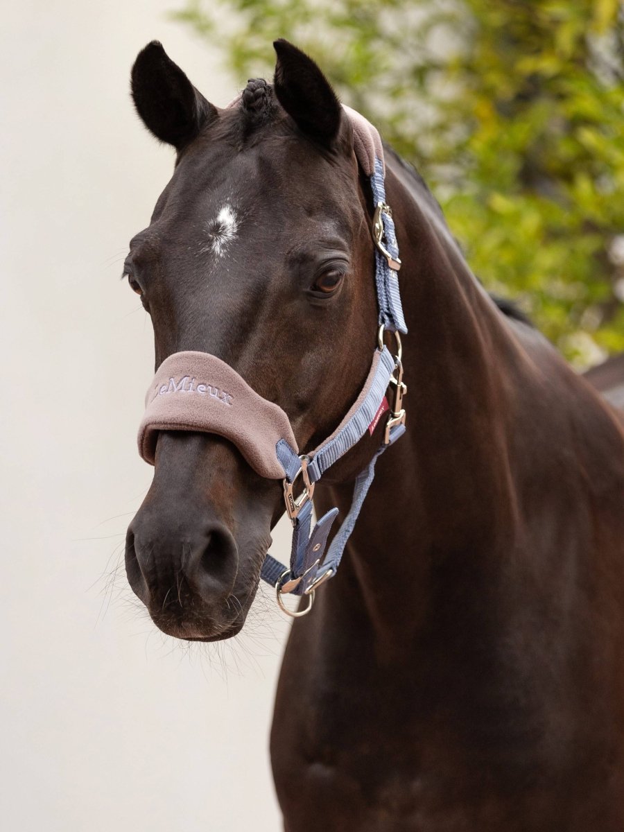 Vogue Headcollar & Leadrope Jay Blue - animondo.dk - IT04406007