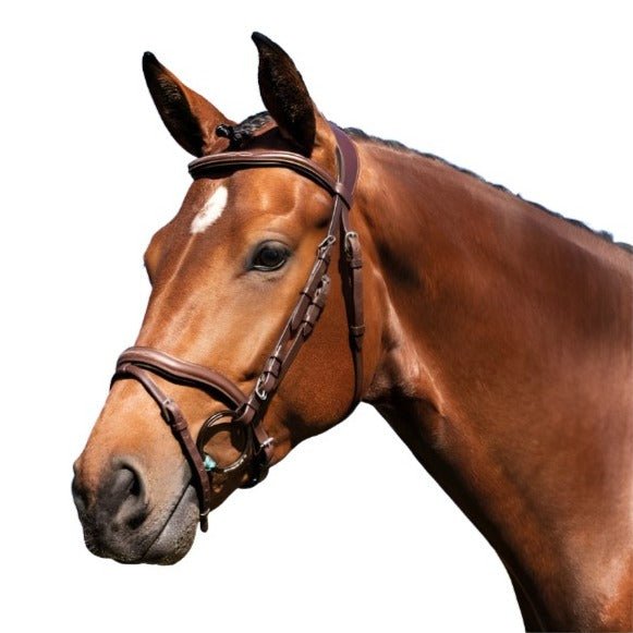 Acavallo Trense - "Amazzone" - Brun - animondo.dk - UDGÅR - AC9525 - BC