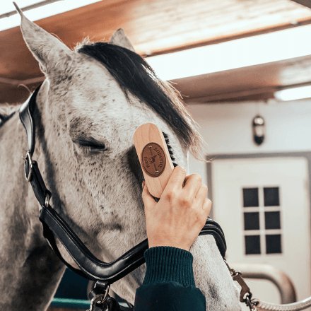 Borstiq Farm Hovedbørste - animondo.dk