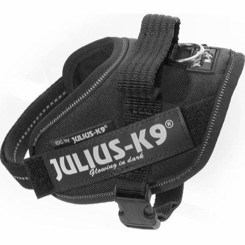 Julius K9 IDC Sele - Sort - animondo.dk