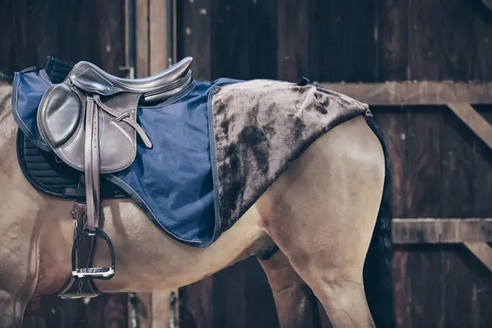Kentucky Horsewear - Lændedækken m. kaninskind - Navy - animondo.dk - 52117 - 03 - M