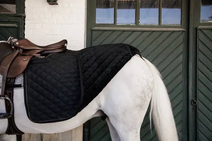 Kentucky Horsewear - Lændedækken - Sort - animondo.dk - 52108 - 01 - M