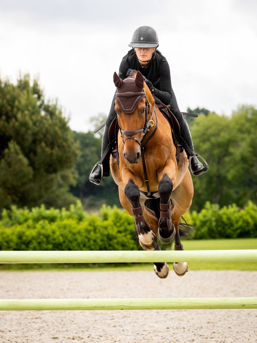 LeMieux Hut - "Crystal Fly" - Brun - animondo.dk - IT03516005