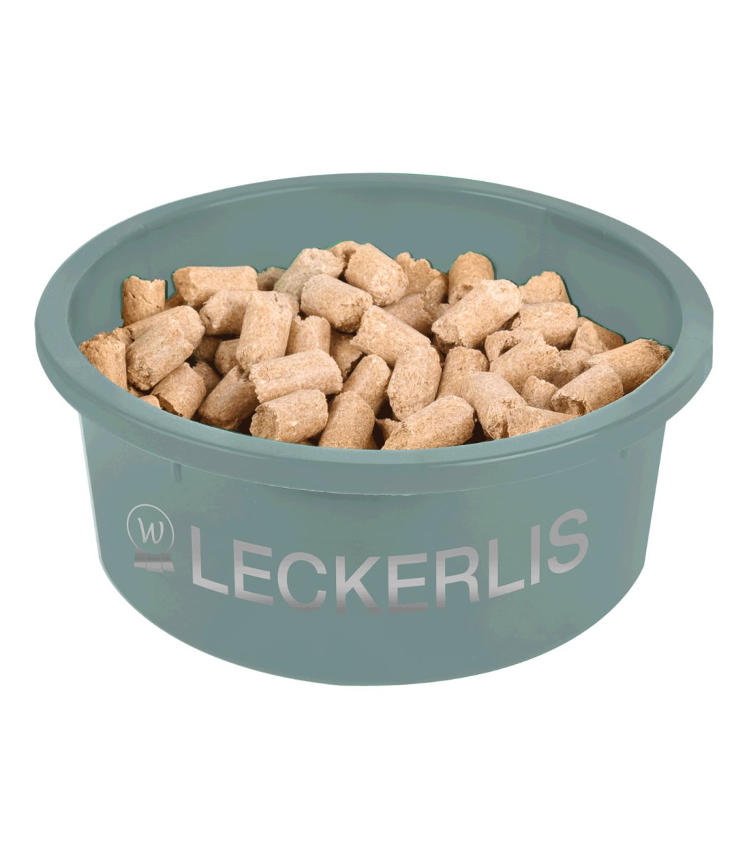 Treat Bowl mistletoe green, 2 L - animondo.dk