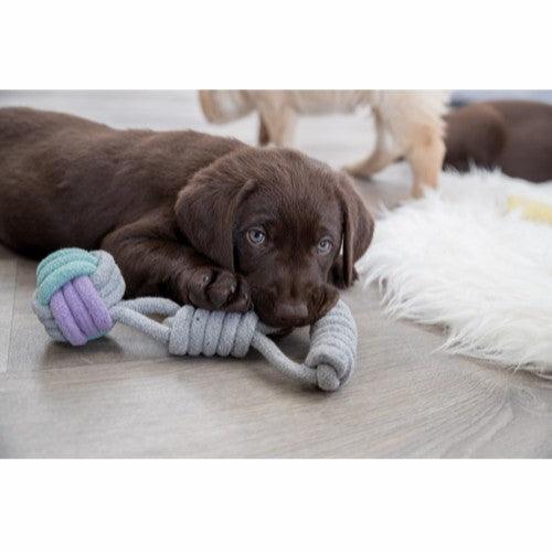 Trixie Rebbold med håndtag - ø6 cm/23 cm - animondo.dk