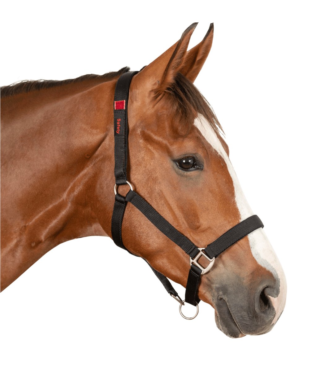 Waldhausen Safety halter - Sort - animondo.dk