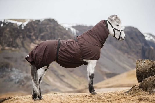 Min hest har sommereksem! Hvad gør jeg nu? - animondo.dk