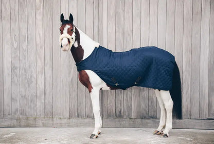 Kentucky Walker Rug - Navy