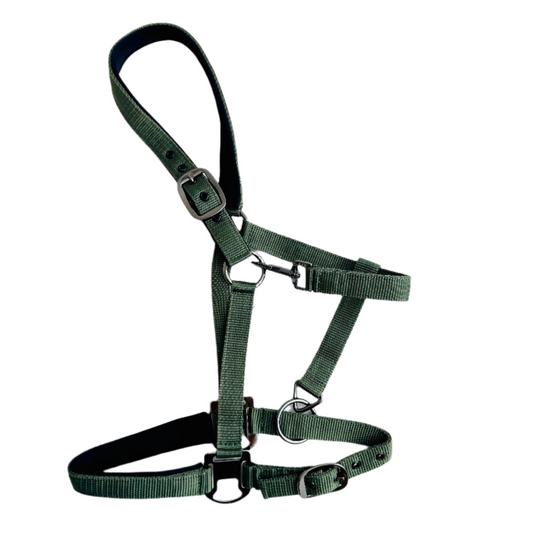 Cavalli Classic Grime m. Neopren - Moss Green
