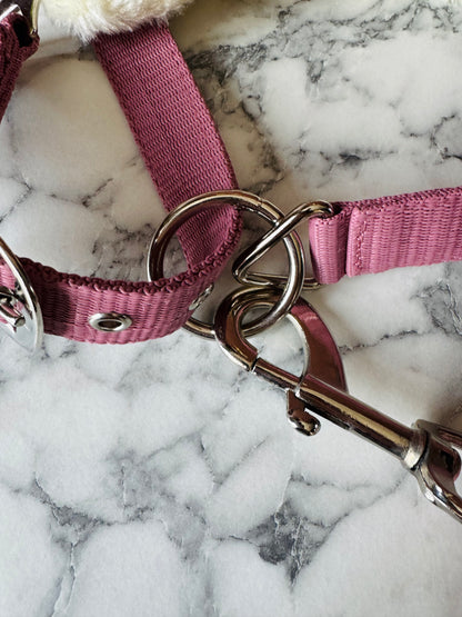 Cavalli Teddy Grime - Old rose