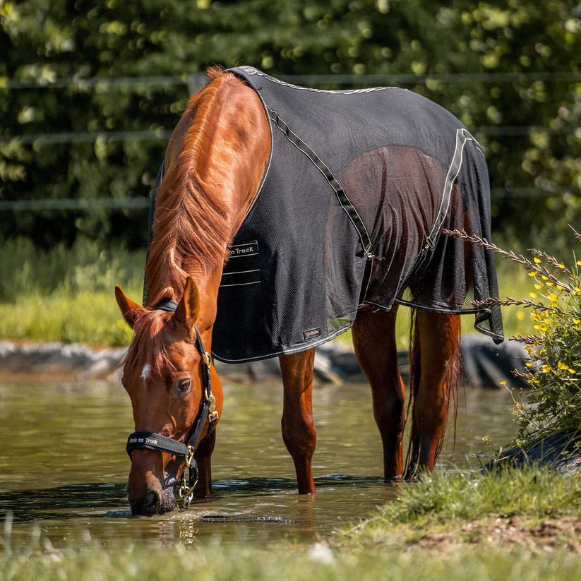 Back on Track - Sienna Sveddækken - Sort - animondo.dk - 21880025
