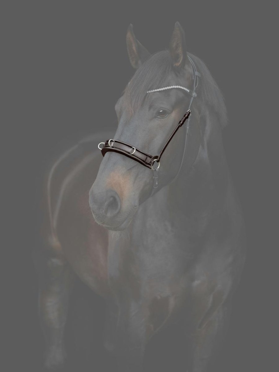 CATAGO - Gentle Bridle Kapsun m. pude - Brun - animondo.dk - 800282002