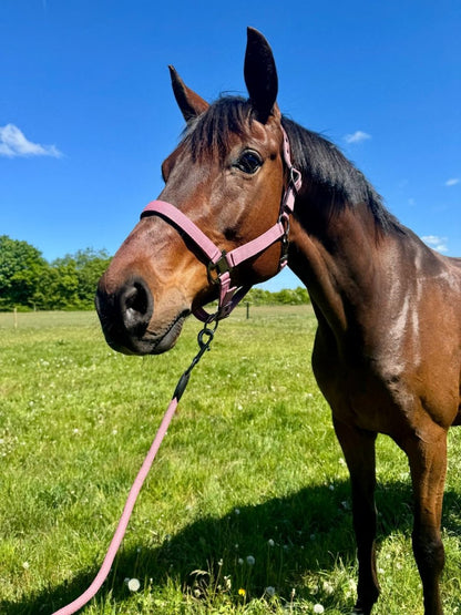 Cavalli premium Træktov - Old rose - animondo.dk - CAV3802