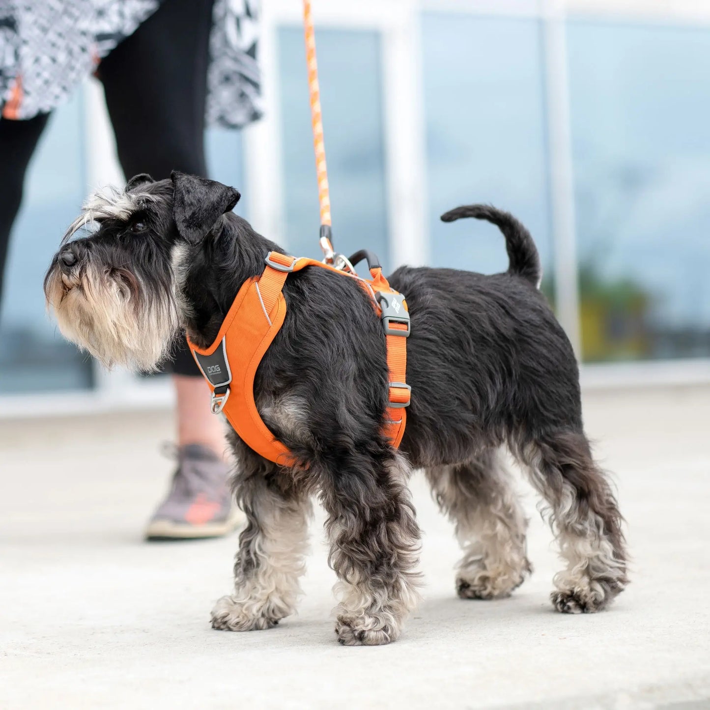 Dog Copenhagen - "Comfort Walk Pro™" Sele - Orange