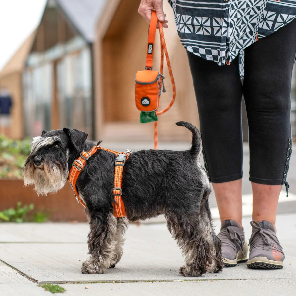 Dog Copenhagen - "Comfort Walk Air™" Sele - Orange - animondo.dk - HAR0093