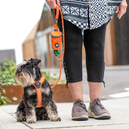 Dog Copenhagen - "Comfort Walk Air™" Sele - Orange - animondo.dk - HAR0093