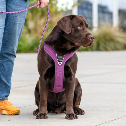 Dog Copenhagen - "Comfort Walk Pro™" Sele - Lilla - animondo.dk - HAR0004