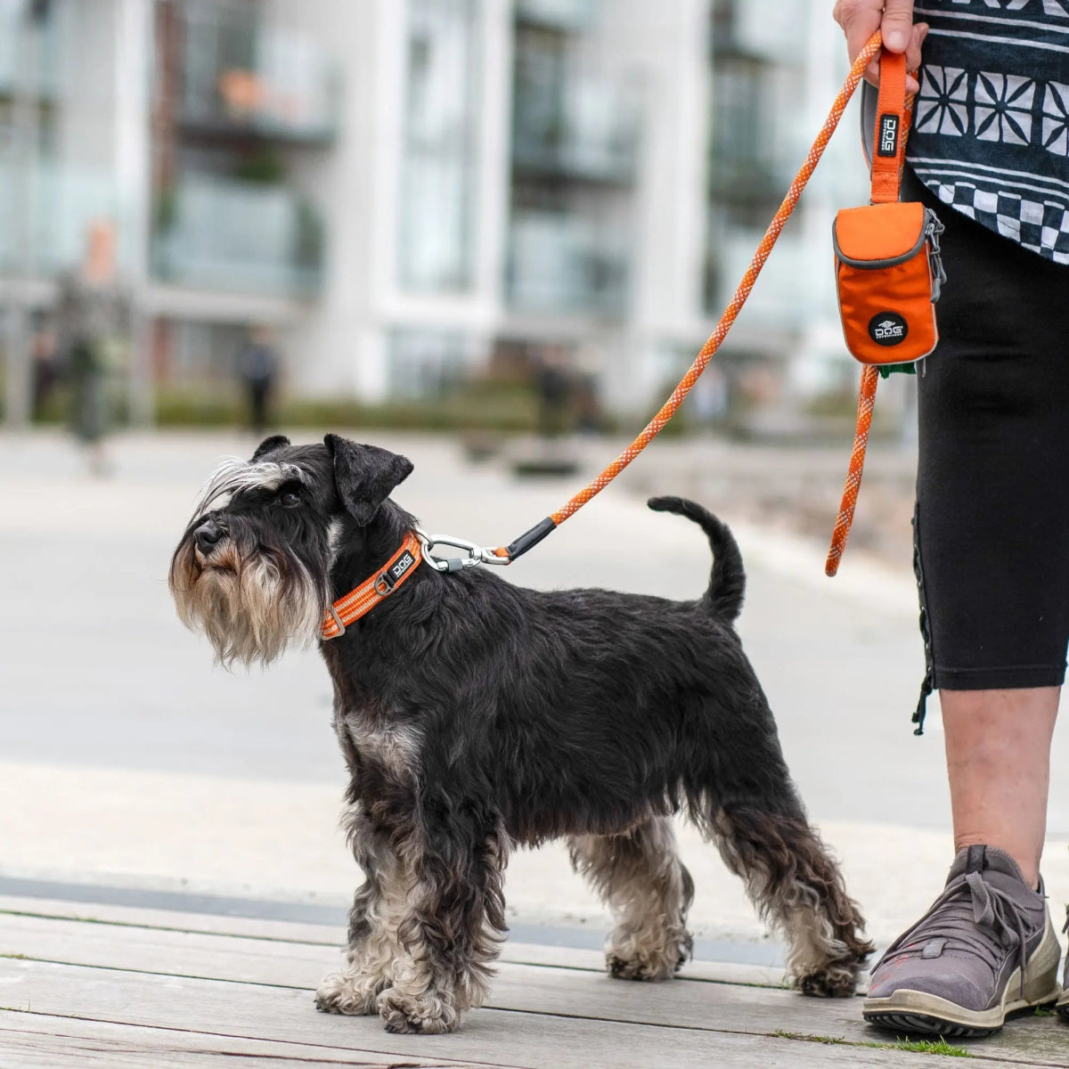 Dog Copenhagen - "Urban Style" Halsbånd - Orange - animondo.dk - COL0133