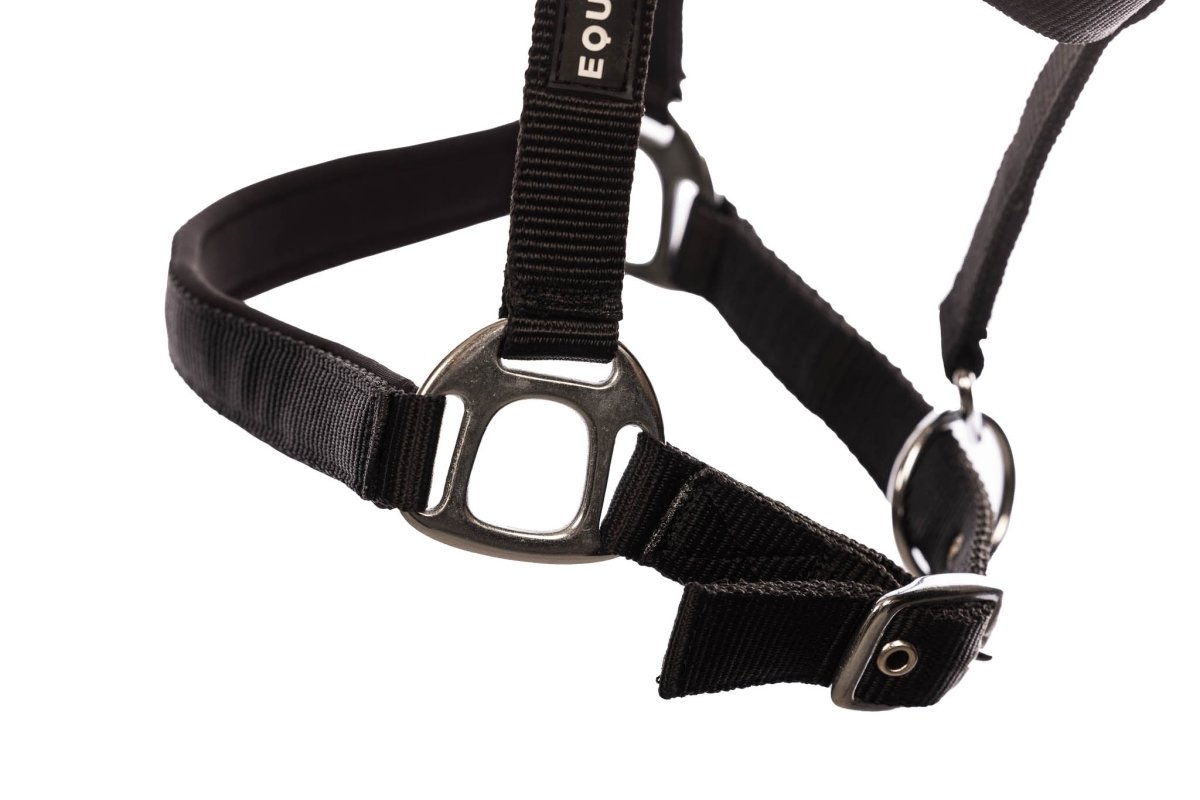 Eques - Double - Buckle Grime - animondo.dk - EQ63003 - BK