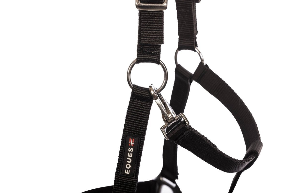 Eques - Double - Buckle Grime - animondo.dk - EQ63003 - BK