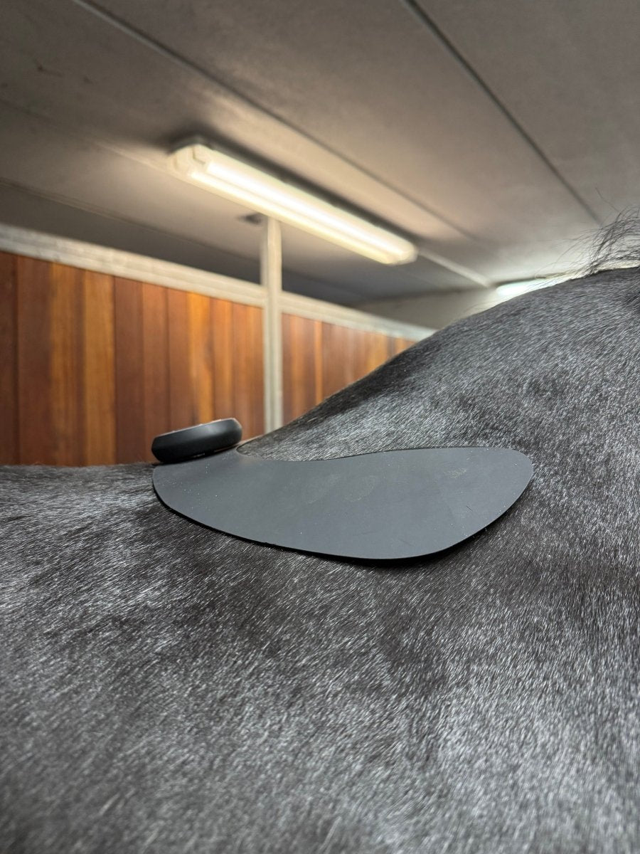 Equine LTS - Ekstra stor Pad til TENS - animondo.dk - LTSTENS - STORPAD