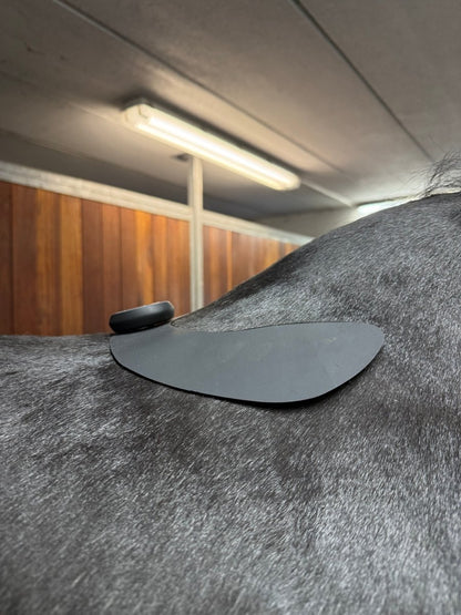 Equine LTS - Ekstra stor Pad til TENS - animondo.dk - LTSTENS - STORPAD