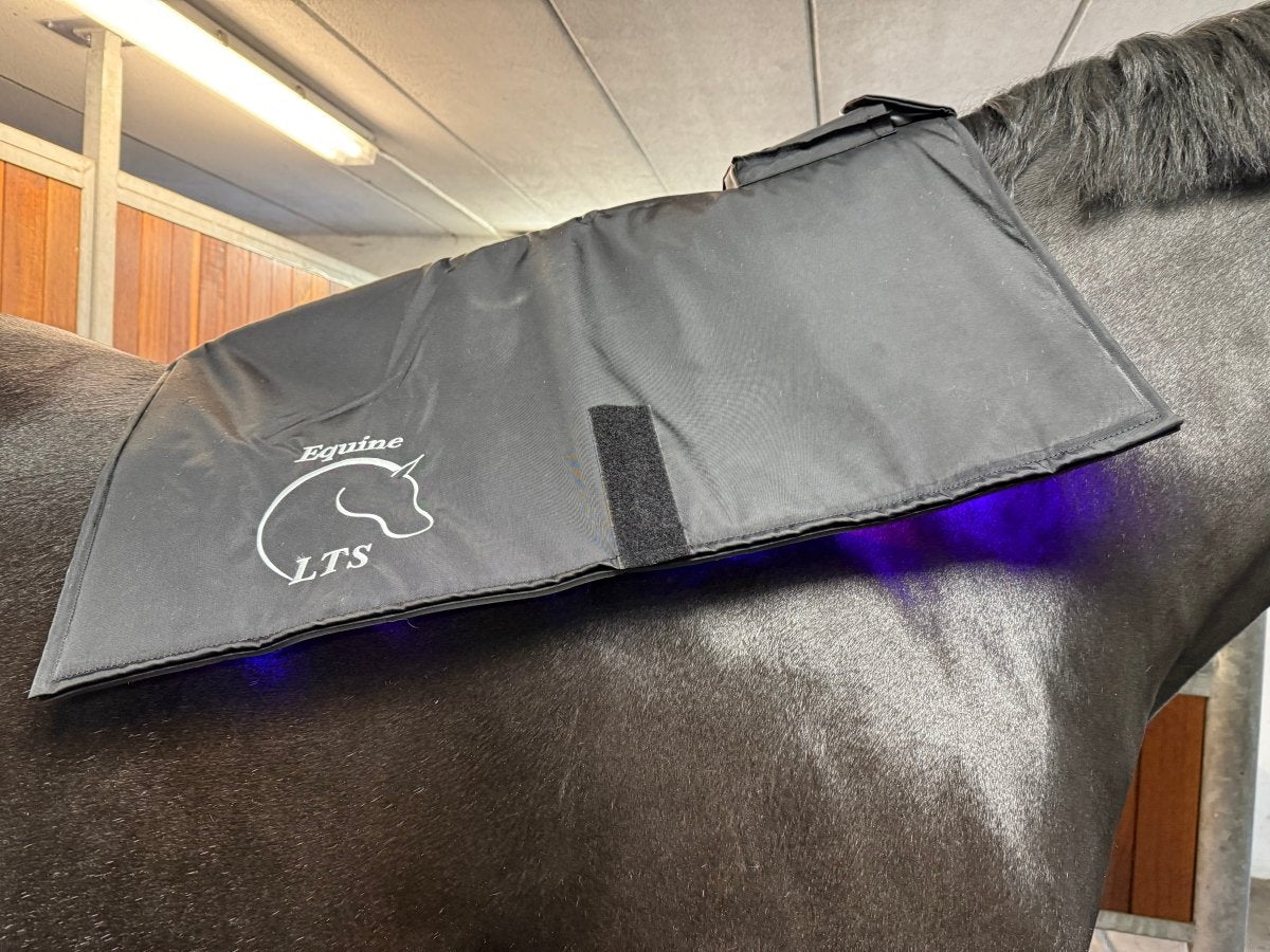 Equine LTS - Topline - NYHED 2025 - animondo.dk - LTS - Topline - 2025