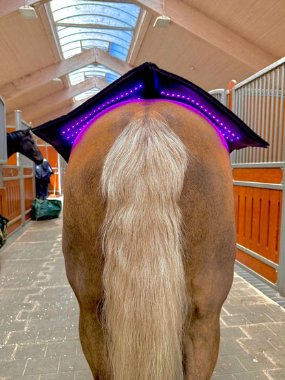 Equine LTS - Topline - NYHED 2025 - animondo.dk - LTS - Topline - 2025