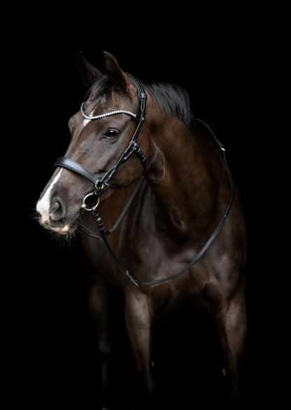 Gentle Bridle - Komplet Trense m. tøjler - Str. Cob - Sort - animondo.dk - 