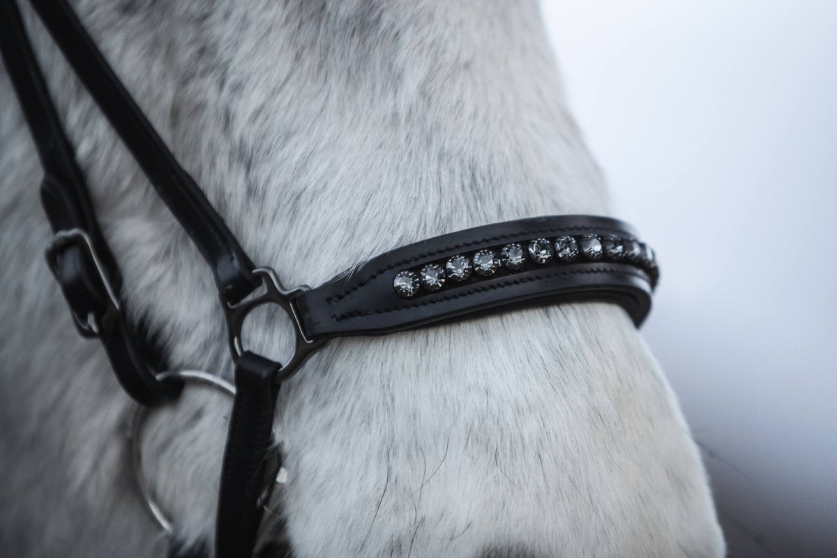 Hanoverian Noseband "DIAMOND" with dark metal buckles and anthracite rhinestones - animondo.dk - NR-DIA-ANT