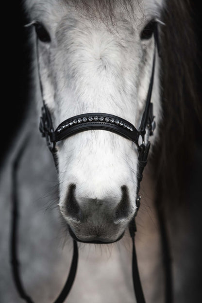 Hanoverian Noseband "DIAMOND" with dark metal buckles and anthracite rhinestones - animondo.dk - NR-DIA-ANT