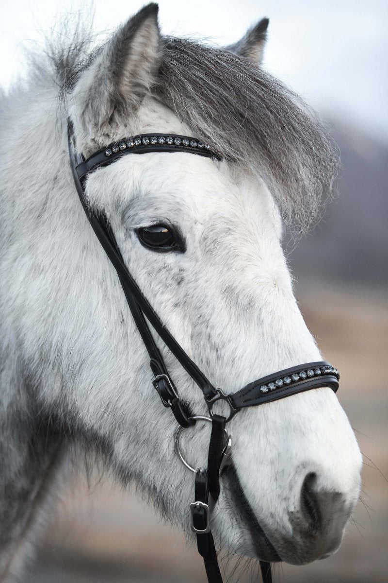 Headstall "DIAMOND" dark buckles with anthracite rhinestones - animondo.dk - KS-DIA-ANT