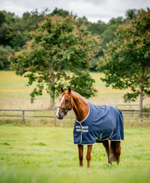 Horseware Amigo - Ripstop Regndækken 900D - 0 gram - Navy - animondo.dk - AARAG0 - BJJ0 - 69